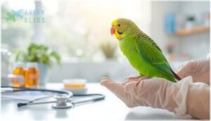 parakeet veterinary care and common illnesses parakeet veterinary care and common illnesses