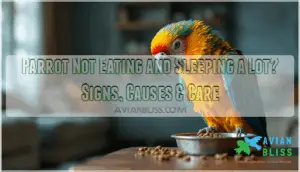 parrot not eating and sleeping a lot
