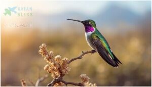 physical appearance of males