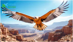 physical characteristics and identification