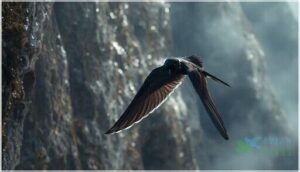 plumage and coloration