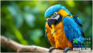 preening and feather care tips