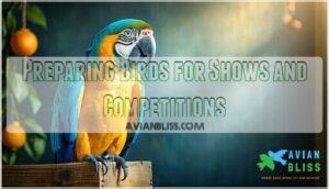 preparing birds for shows and competitions