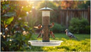 prevent pigeon access to spilled seed