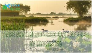 rare and endangered duck species in minnesota