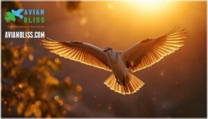 reproductive organs seasonal changes