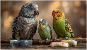 risk factors for beak infections