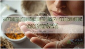 safe bird food for baby birds
