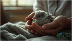 safe handling and initial observation