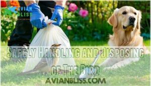 safely handling and disposing of the bird