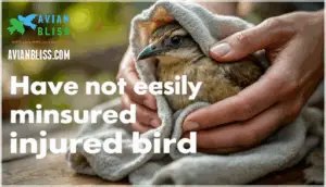 safely restraining and handling injured birds
