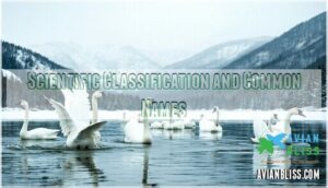 scientific classification and common names