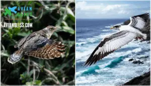 short vs. long wing functions short vs. long wing functions