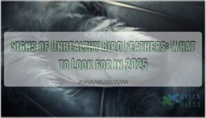 signs unhealthy bird feathers problems
