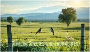 similar species and lookalikes