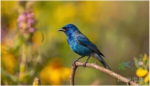 size and body structure