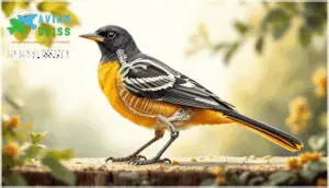 size, shape, and anatomy