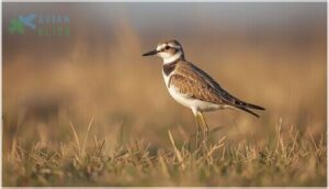 size, shape, and posture