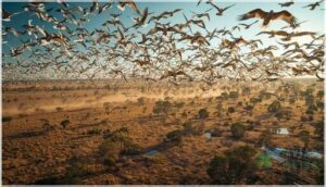 social and nomadic behavior in the wild