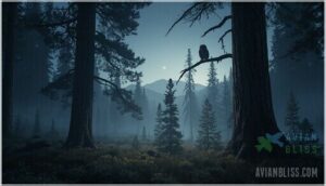 spotted and boreal owls: rare and hard to spot