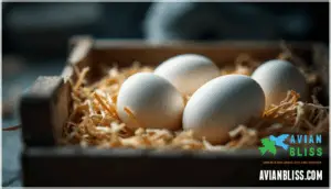 storing unincubated pigeon eggs safely