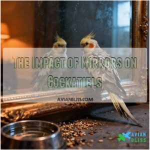 the impact of mirrors on cockatiels