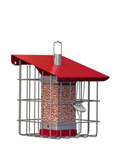 The Nuttery NC0010 Geohouse Compact B00LE7WHSQ