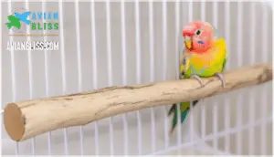 tips for secure installation in cages