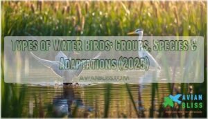 types of water birds