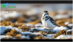 unique behaviors and life cycle