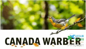 unique behaviors and traits