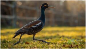 unique body structure