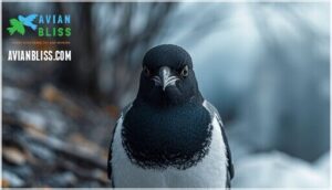 unique coloration and adaptations