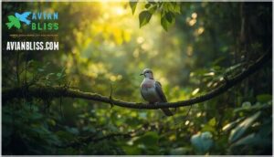 vocalizations and identification