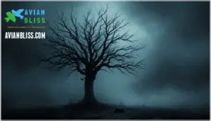 warning signs and omens