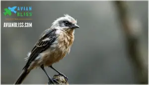 weight loss and anorexia