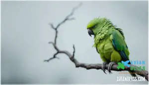 weight loss and lethargy