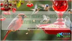 what do different birds eat what do different birds eat