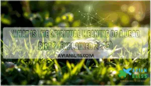 what is the spiritual meaning of a dead bird