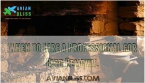 when to hire a professional for bird removal when to hire a professional for bird removal