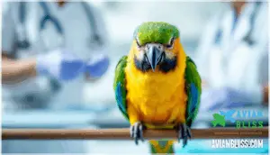 when to seek emergency veterinary care