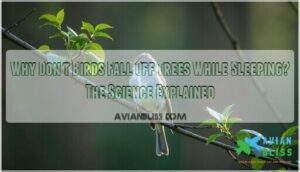 why dont birds fall off trees while sleeping