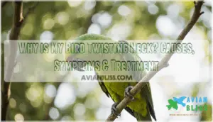 why is my bird twisting neck