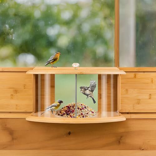 Window Bird Feeder Birdwatching Indoors,180°