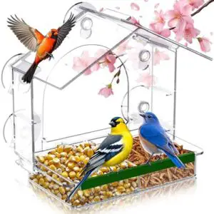 Window Bird Feeder with 5 B0D7B6SPMF