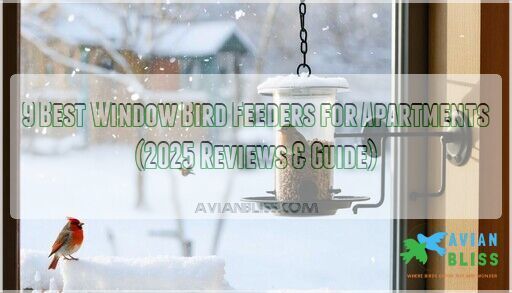 Curated visual reference: 9 Best Window Bird Feeders For Apartments 2025 Reviews Guide Photo Inspiration