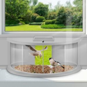 Window Bird Feeders for Viewing B0DTJWGKNL