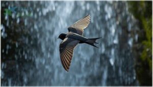 wing and tail structure