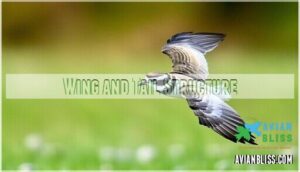 wing and tail structure