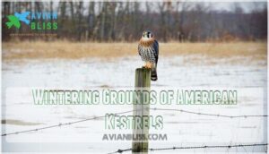 wintering grounds of american kestrels